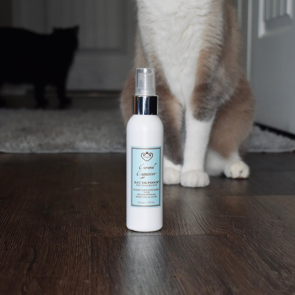 Caramel Cappuccino Eau de Pooch Pet Fragrance and Hair Detangler Spray