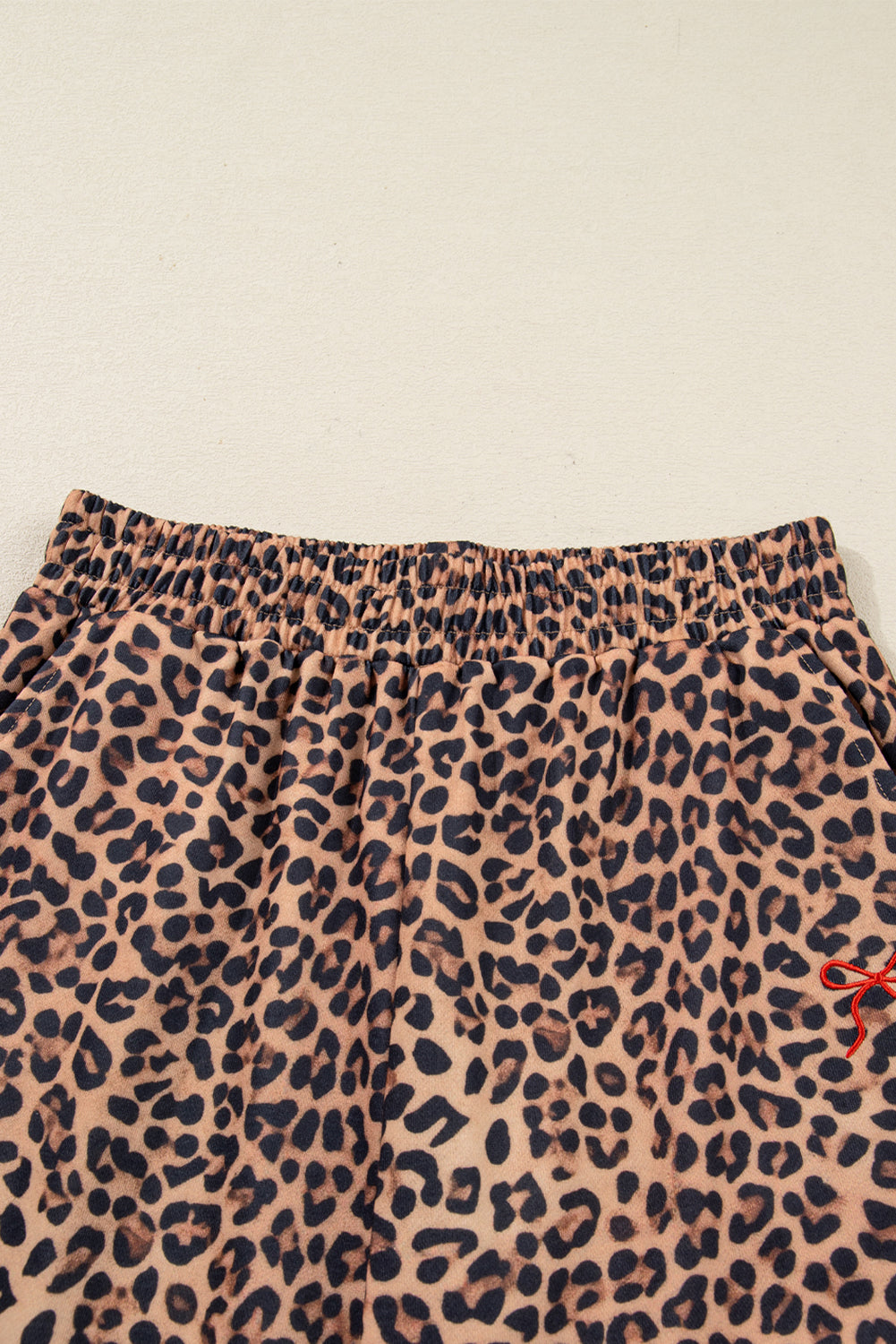 Leopard Bow Embroidered Pullover and Pants Set