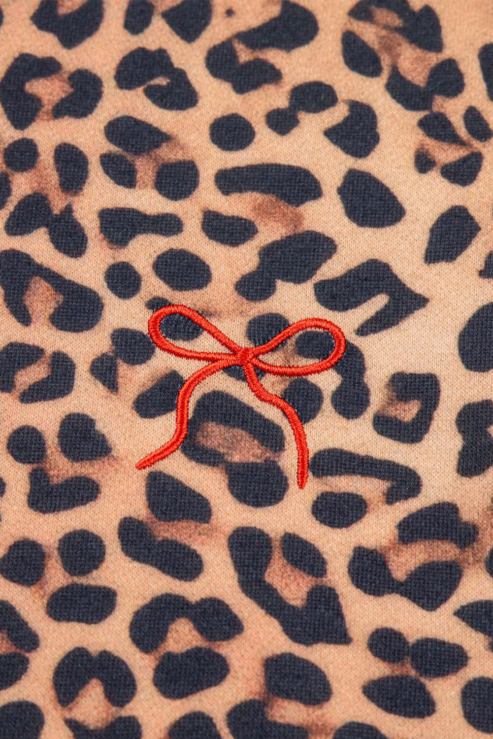 Leopard Bow Embroidered Pullover and Pants Set