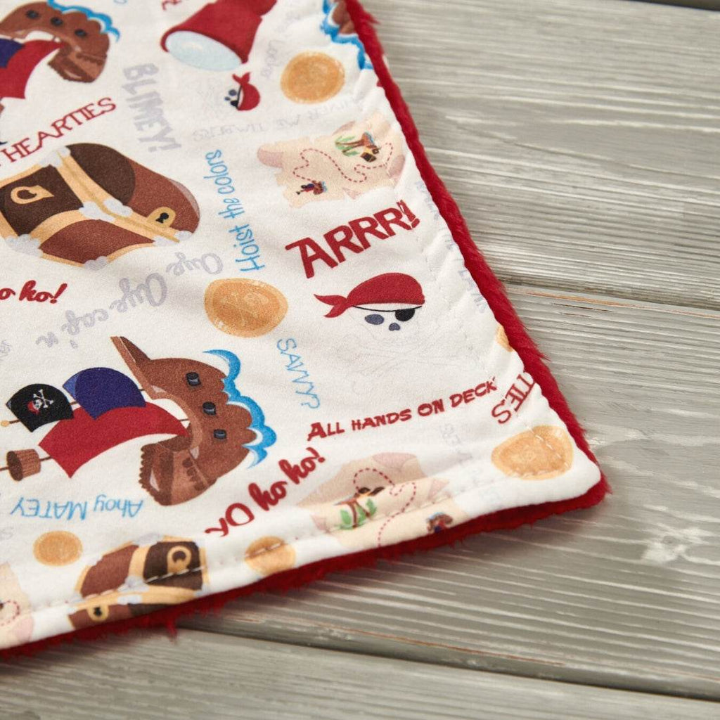 Minky Blanket - Buried Treasure